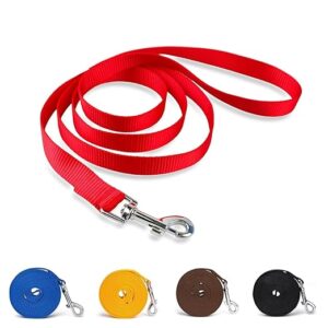 Dog Leash