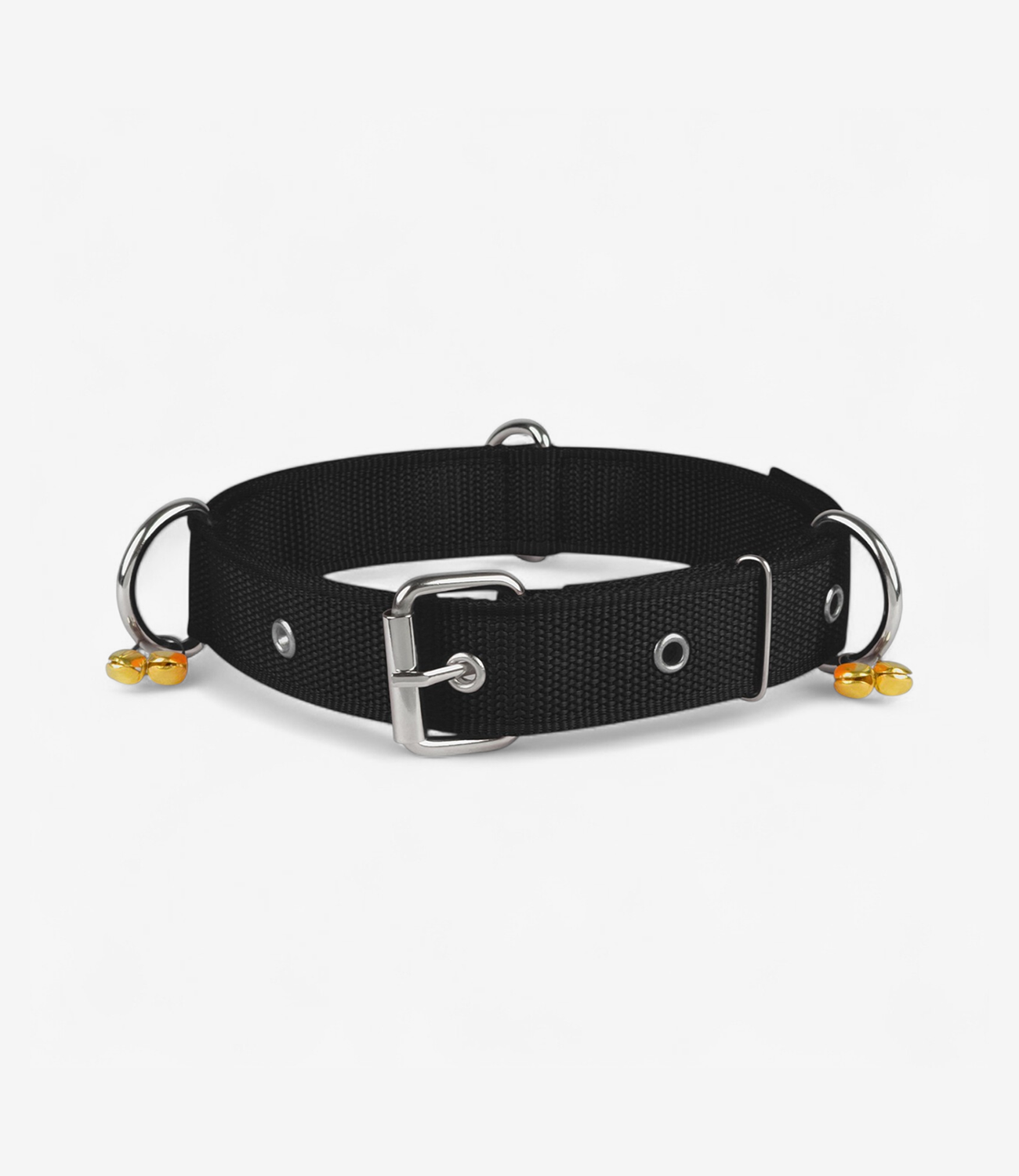 Front Range Dog Harness - Orange