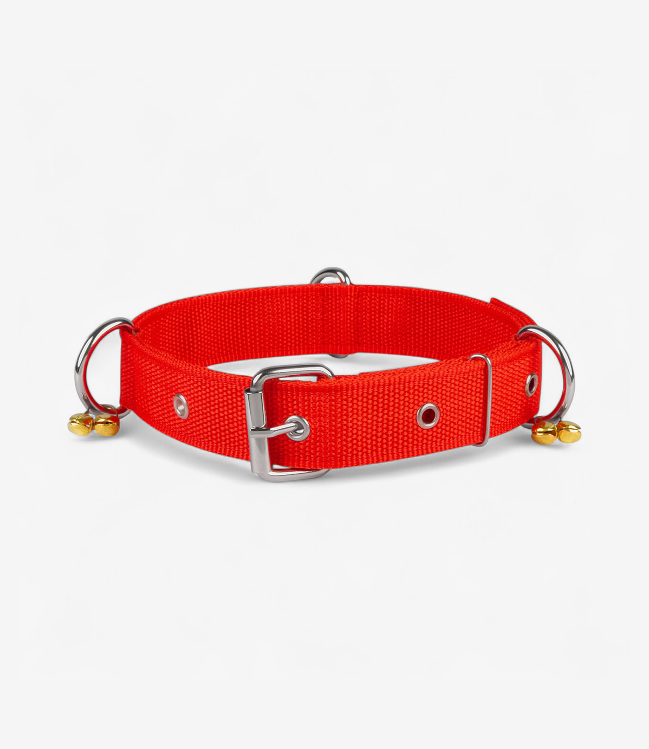 Front Range Dog Harness – Neon