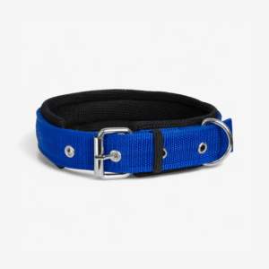 Ultra Soft Padded Dog Collar - Blue | True Dawg