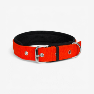 Ultra Soft Padded Dog Collar – Red | True Dawg