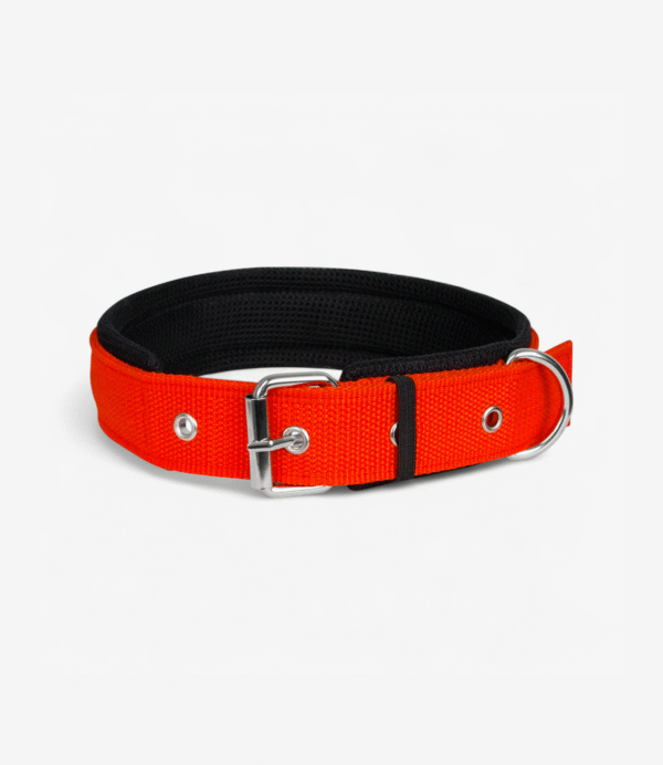 Ultra Soft Padded Dog Collar – Red | True Dawg