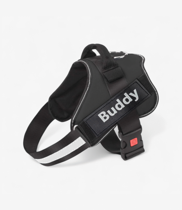 Vest Harness For Dog - Black | True Dawg