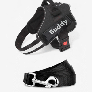 Vest Harness & Leash Set For Dogs - Black | True Dawg