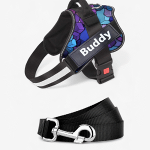 Vest Harness & Leash Set For Dogs - Blue Diamond | True Dawg