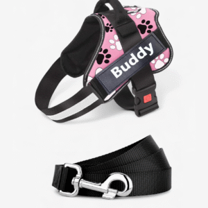 Dog Harness & Leashes