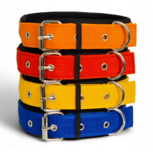 Dog Collars