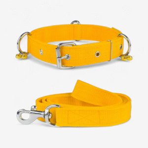 Bell Collar & Leash Set For Dog - Yellow | True Dawg