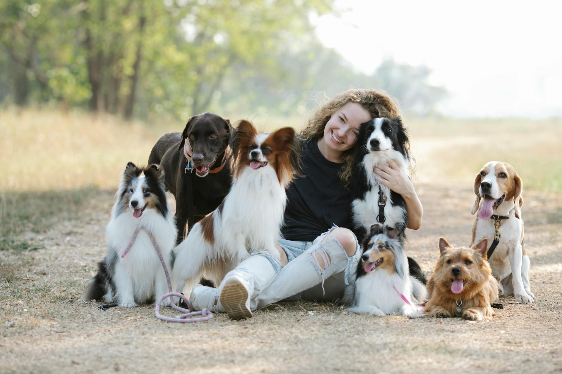 Dog breeds in India | True Dawg