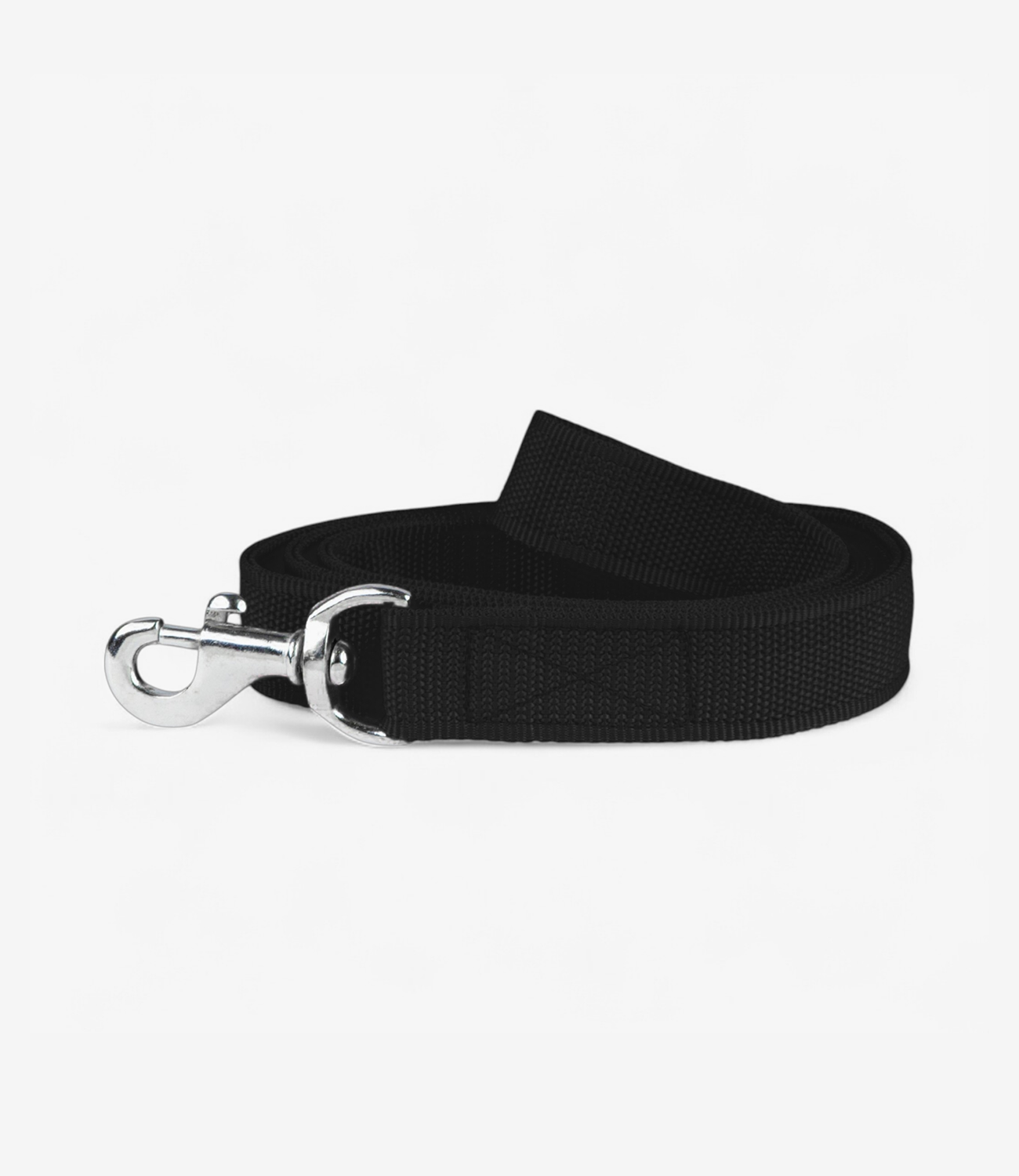 Nylon Dog Leash - Black