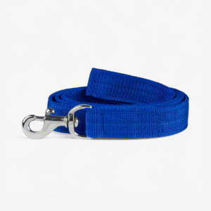 Nylon Dog Leash - Blue | True Dawg