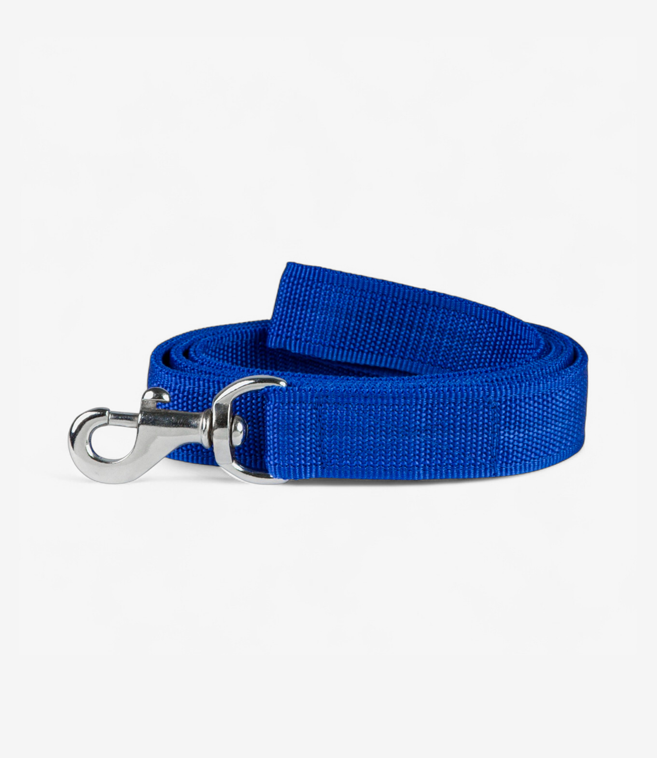 Nylon Dog Leash - Blue