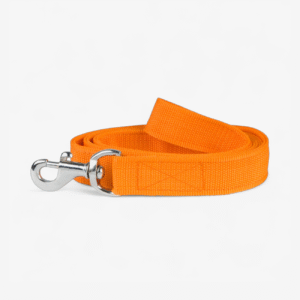 Truedawg Nylon Dog Leash - Orange