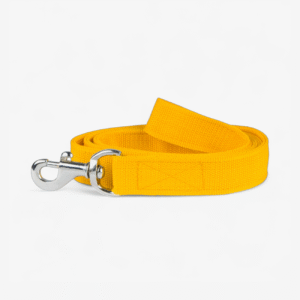 Nylon Dog Leash - Yellow | True Dawg