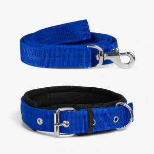 Ultra Soft Padded Dog Collar & Leash - Blue | True Dawg